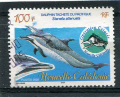 NOUVELLE CALEDONIE  N°  941  (Y&T)  (Oblitéré) - Gebruikt