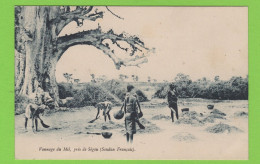 SOUDAN - Près De SÉGOU - FEMMES VANNANT DU MIL - Soudan