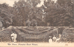 London The Maze Hampton Court Palace -unsent - Hampton Court