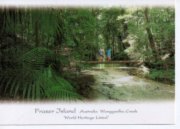 Australie- Fraser Island - Wangoolba Creek - Andere & Zonder Classificatie