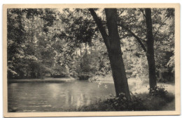 Grez-Doiceau - Les Etangs - Graven