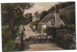 Cherry Bridge - Lynmouth - Lynmouth & Lynton