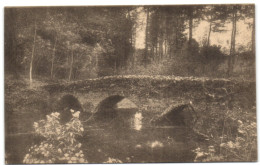 Sept Fontaines - Le Pont Rustique - Braine-l'Alleud