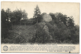 Comblain-au-Pont - Restes De L'ancien Château - Comblain-au-Pont