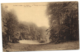 Notre Dame Au Bois - Château Les Tonneliers - Coin Du Parc - Overijse