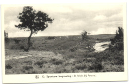 Spontane Begroeting - De Heide Bij Korsel - Beringen