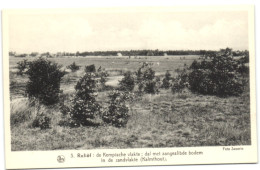 Reliëf - De Kempische Vlakte Dal Met Aangeslibde Boden In De Zandvlakte (Kalmthout) - Kalmthout