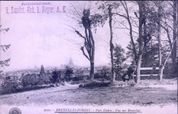 FOREST - VORST : Parc Duden : Vue Sur Bruxelles (HG 3030) - Forest - Vorst