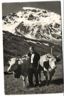 Sur L'Alpe - Photo-Edition A. Deriaz - Baulmes - Baulmes