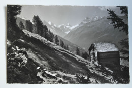 Cpsm Petit Format 1955 Paysage Près St Luc Rothorn Besso Gabelhorn Cervin - BEM03 - Saint-Luc