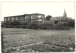 Poperinge - Instituut H. Hart - Technische En Beroepsafdeling - Poperinge