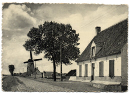 Damme - De Molen - Damme