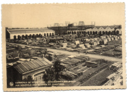 Carrières De Scouffleny - Ecaussinnes - Vue Générale Des Scieries Et Chantiers - Ecaussinnes