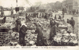 62  Boulogne Sur Mer  Le Triage Du Poisson Avant La Criée - Boulogne Sur Mer