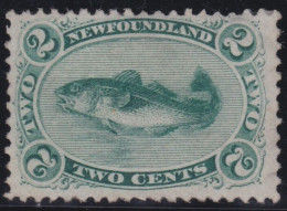 Newfoundland      .    SG  .  31  (2 Scans)      .     *       .    Mint-hinged With Gum - 1865-1902