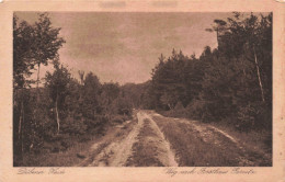 ALLEMAGNE - Dübener Heide - Carte Postale Ancienne - Other & Unclassified