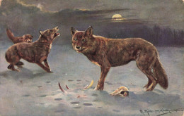 ANIMAUX - Meute De Loups - Carte Postale Ancienne - Andere & Zonder Classificatie