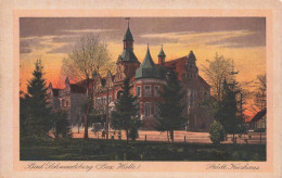 ALLEMAGNE - Bad Schmiedeberg - Bez Halle - Colorisé - Carte Postale Ancienne - Autres & Non Classés