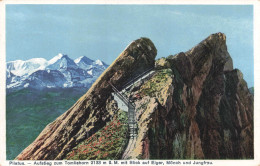 SUISSE - Pilatus - Aufstieg Zum Tomlishorn 2133m ü M ÜM Mit Blick Auf Eiger, Mönchund Junfrau - Carte Postale Ancienne - Autres & Non Classés