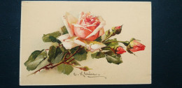 Illustrateur Catharina Klein , Branche Aux Roses - Klein, Catharina