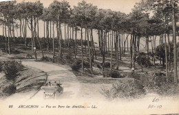 FRANCE - Arcachon - Vue Au Parc Des Abatilles - LL - Carte Postale Ancienne - Arcachon