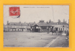 HERBAULT -41- Place Du Marché - Les Halles - Petite Animation - A 4173 / 74 - Herbault