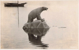 Haapsalu - Eisbär Gel.1927 - Estonie