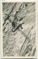 Zugspitze - Foto-Ansichtskarte - Verlag B. Johannes Partenkirchen-Garmisch - Zugspitze