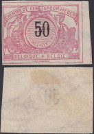 Belgique 1895- Timbre Neuf Sans Gomme. TR. Nr.:21 Non Dentélé Accidentel. RARE¡¡¡.........(EB) AR-01020 - Mint