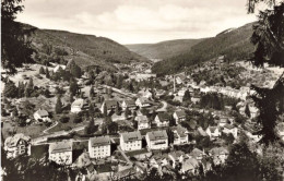 ALLEMAGNE - Wildbald Im Schwarzwald - Vue Générale -  Carte Postale Ancienne - Gutach (Schwarzwaldbahn)