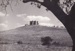 Andria - Castel Del Monte - Fg Nv - Trani