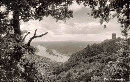 ALLEMAGNE -  Der Drachenfels - Vue Panoramique - Carte Postale Ancienne - Königswinter