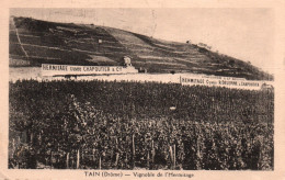 Tain (Drôme) Le Vignoble De L'Hermitage, Publicité Cuvée Chapoutier & Cie - Carte De 1937 - Other & Unclassified