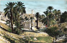 ALGERIE - Paysages Du Sud - Colorisé - Carte Postale Ancienne - Szenen