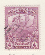 New Foundland Michel.cat. 99 Gestempeld - 1908-1947