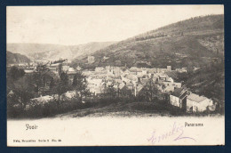 Yvoir ( Namur). Panorama Avec L'église Saint-Eloi. 1910 - Yvoir