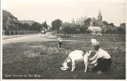 Texel, Gezicht Op Den Burg (geit) - Texel