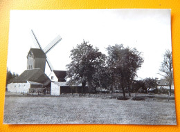 SINT-MARTENS-LATEM  -  Houten Standaardwindmolen - Sint-Martens-Latem