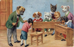 Chiens Humanisés Maitre D'ecole Eleves  - Non Classés