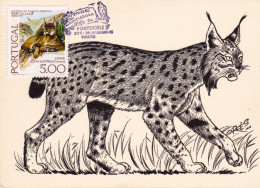 Portugal - 9 Postais Fauna Com Vários Carimbos - Postmark Collection