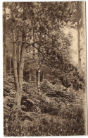 Lige Des Amis De La Forêt De Soignes - Les étangs De Rouge-Cloître - Auderghem - Oudergem