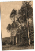 Lige Des Amis De La Forêt De Soignes - Beureaux Au Vallon De Blankendelle - Oudergem - Auderghem