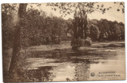 Auderghem - L'Ile Du Premier Etang - Auderghem - Oudergem