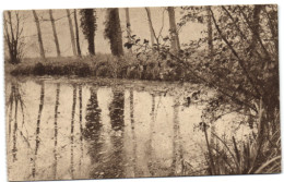 Ligue Des Amis De La Forêt De Soignes  - Rouge-Cloître - Oudergem - Auderghem