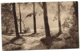 Ligue Des Amis De La Forêt De Soignes  - Rouge-Cloître - Oudergem - Auderghem