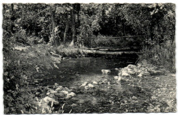 Erezée - Pont Rustique Sur L'Aisne - Erezée