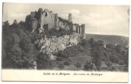 Vallée De La Molignée - Les Ruines De  Montaigle - Onhaye