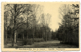 Notre-Dame-au-Bois - Bois Des Capucins - Overijse