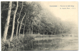 Groenendael - Vue Sur Le Vieil étang - Hoeilaart