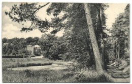 Groenendael - Promenade Vers Les étangs - Höilaart